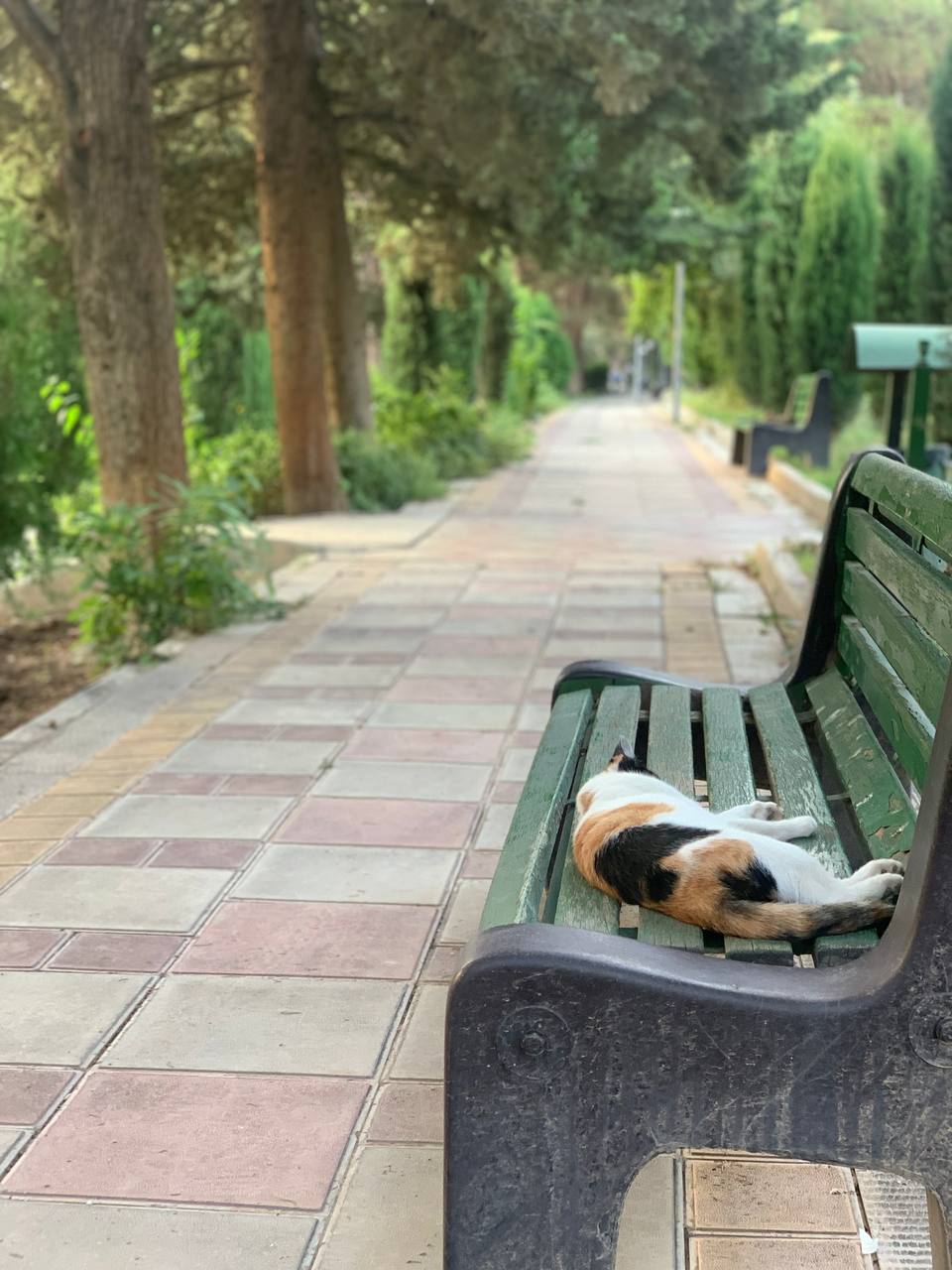 Protected: It’s On Me